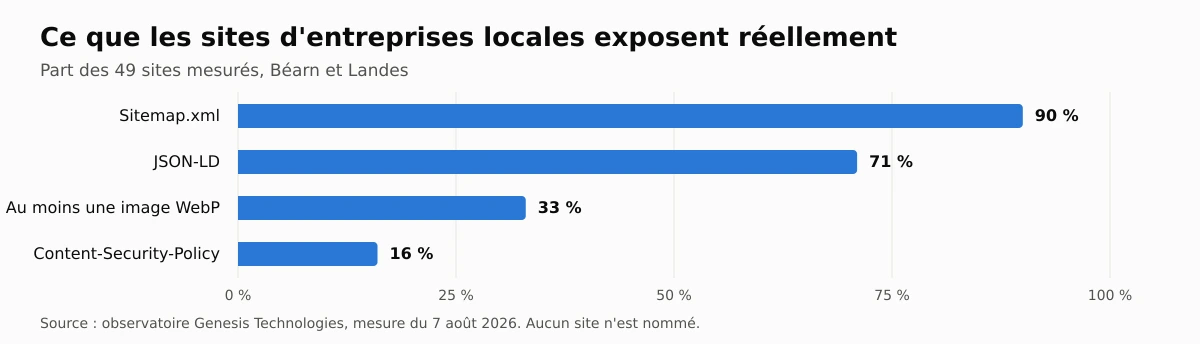 Sur 49 sites d'entreprises du Béarn et des Landes mesurés le 7 août 2026 : sitemap.xml 90 %, json-ld 71 %, au moins une image webp 33 %, content-security-policy 16 %.