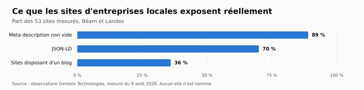 Sur 53 sites d'entreprises du Béarn et des Landes mesurés le 9 août 2026 : meta description non vide 89 %, json-ld 70 %, sites disposant d'un blog 36 %.